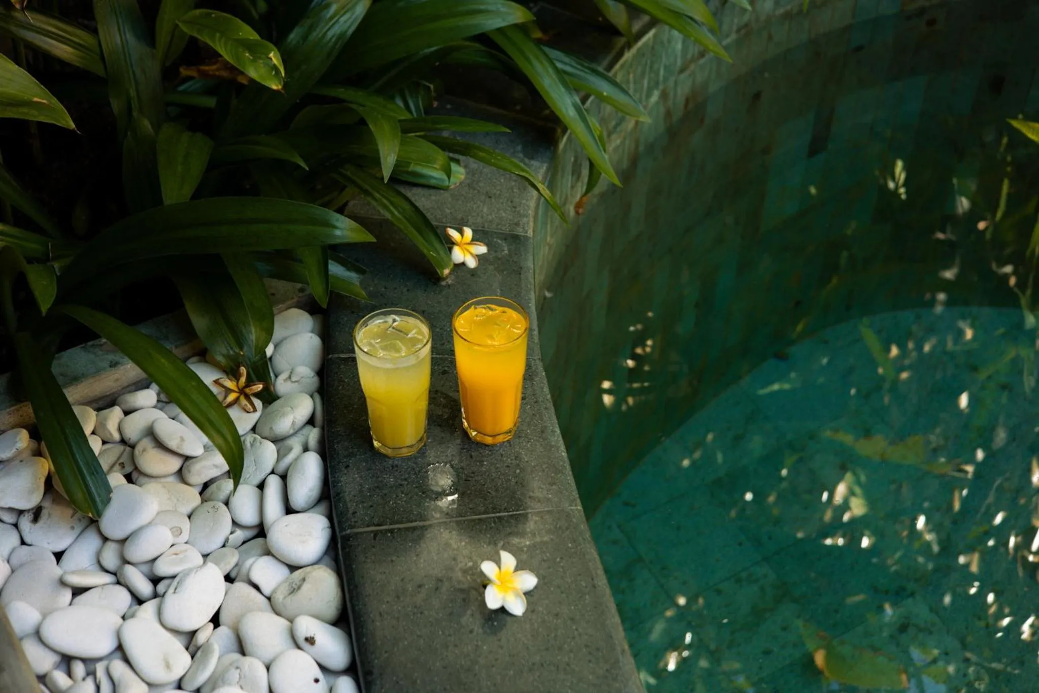 Deux verres de boissons rafraîchissantes reposent sur le bord d'une piscine turquoise.