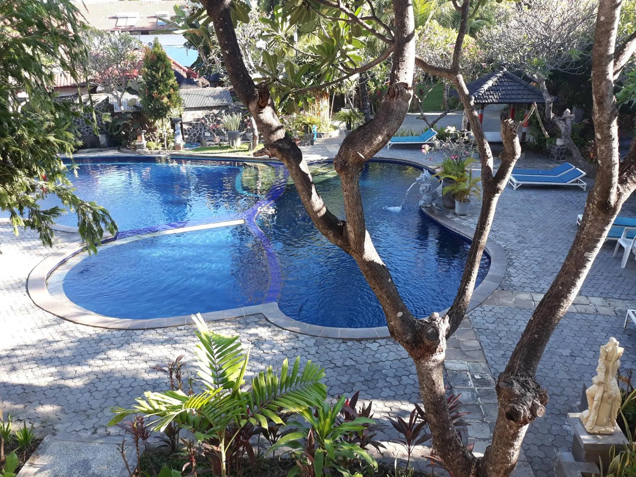 Une piscine de forme irrégulière entourée d'une terrasse pavée et de végétation luxuriante.