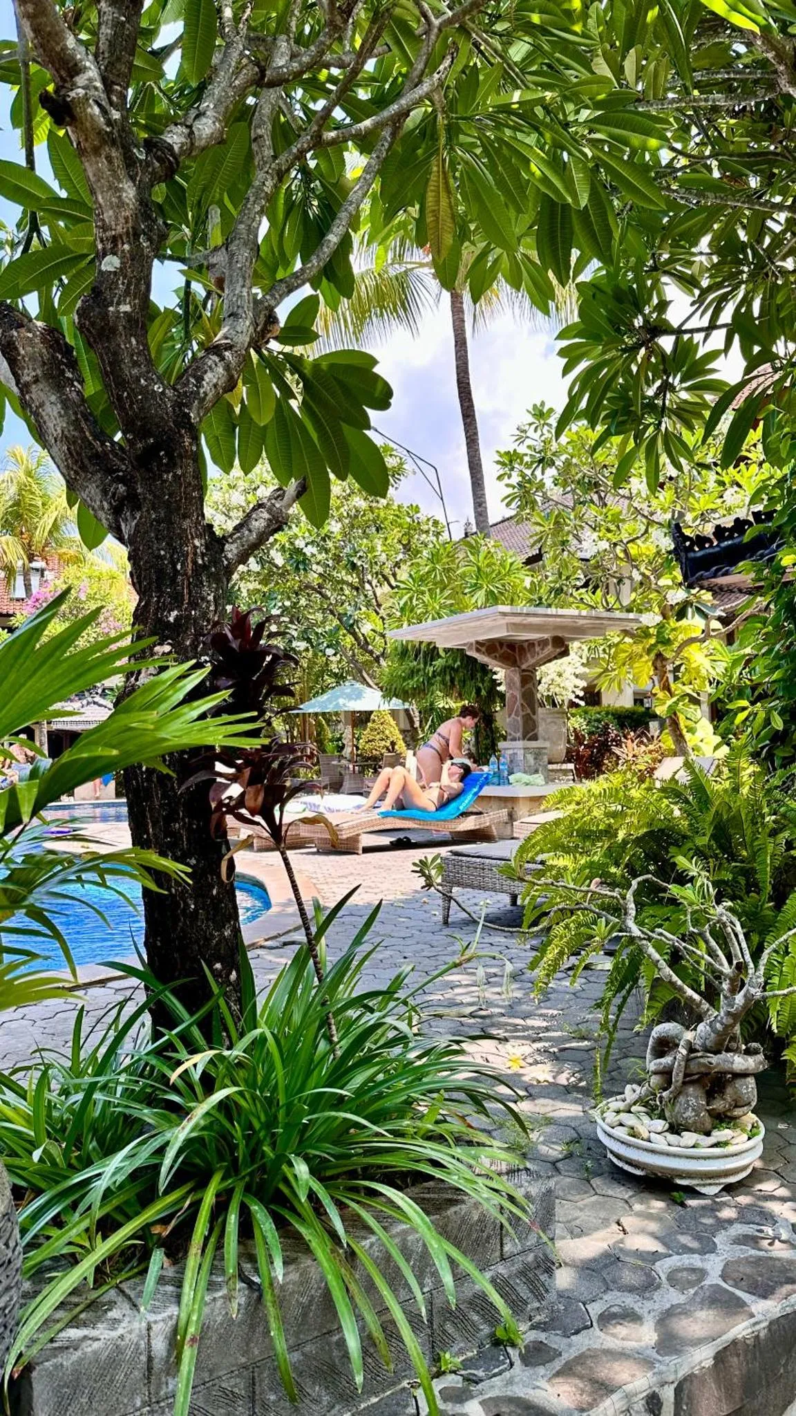 Deux personnes se relaxent au bord d'une piscine dans un jardin tropical.