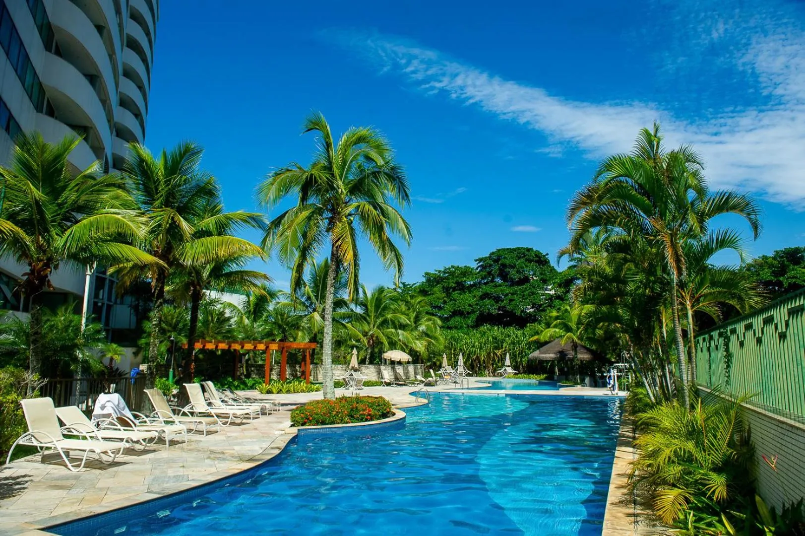 Une piscine rectangulaire bordée de transats et de palmiers sous un ciel bleu.