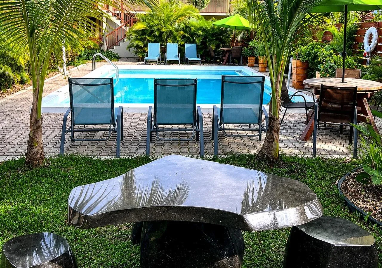 Transats bleus disposés autour d'une piscine rectangulaire dans un jardin tropical.