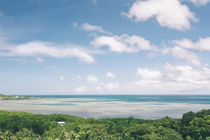 Vue aérienne sur une côte tropicale avec végétation luxuriante et mer turquoise.