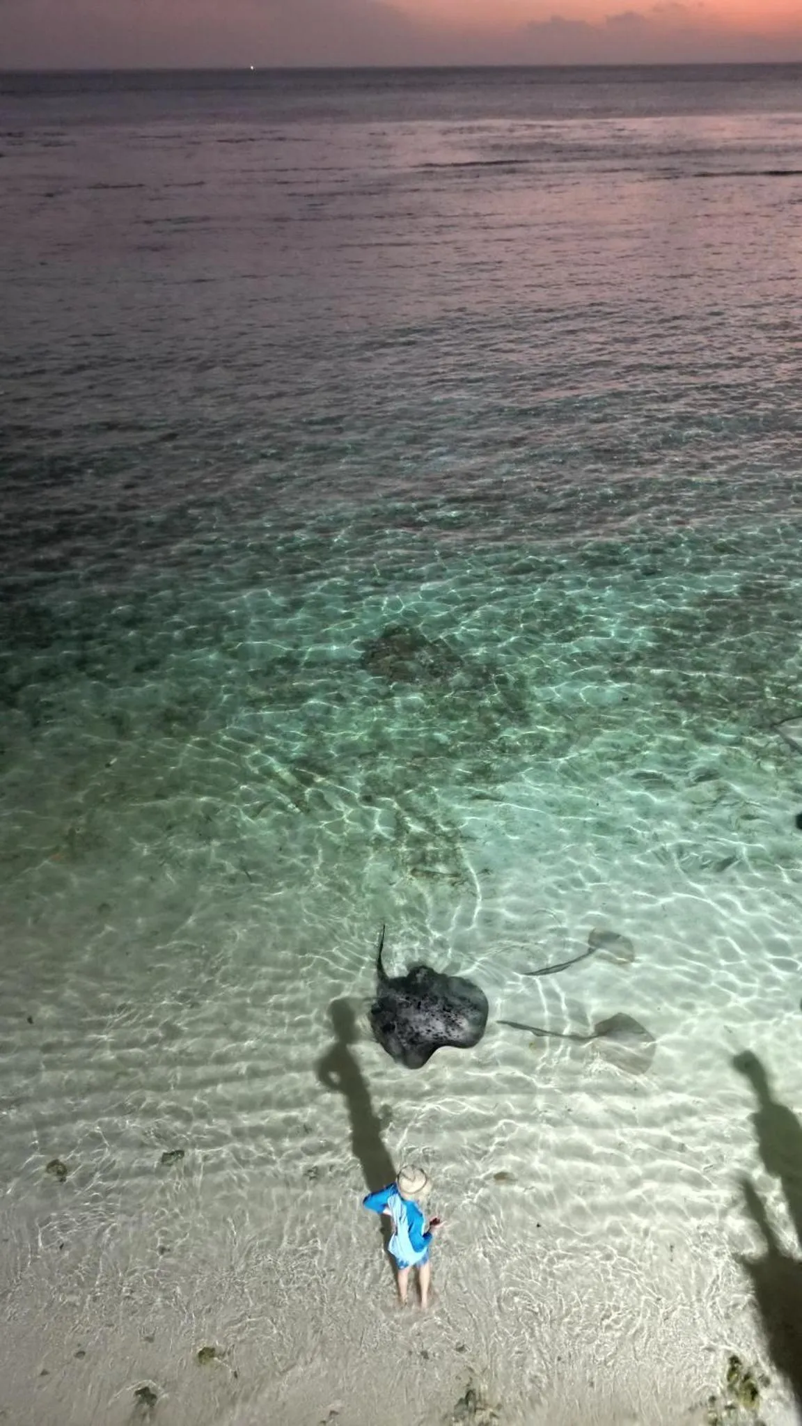Une personne se détend sur une plage de sable blanc au bord d'une mer turquoise.