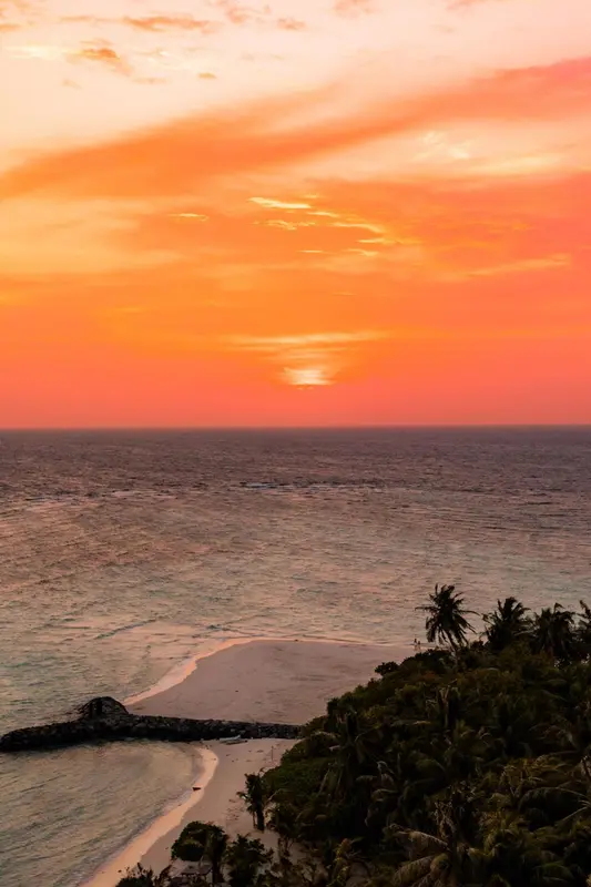 Coucher de soleil sur l'océan avec une plage et une végétation tropicale.