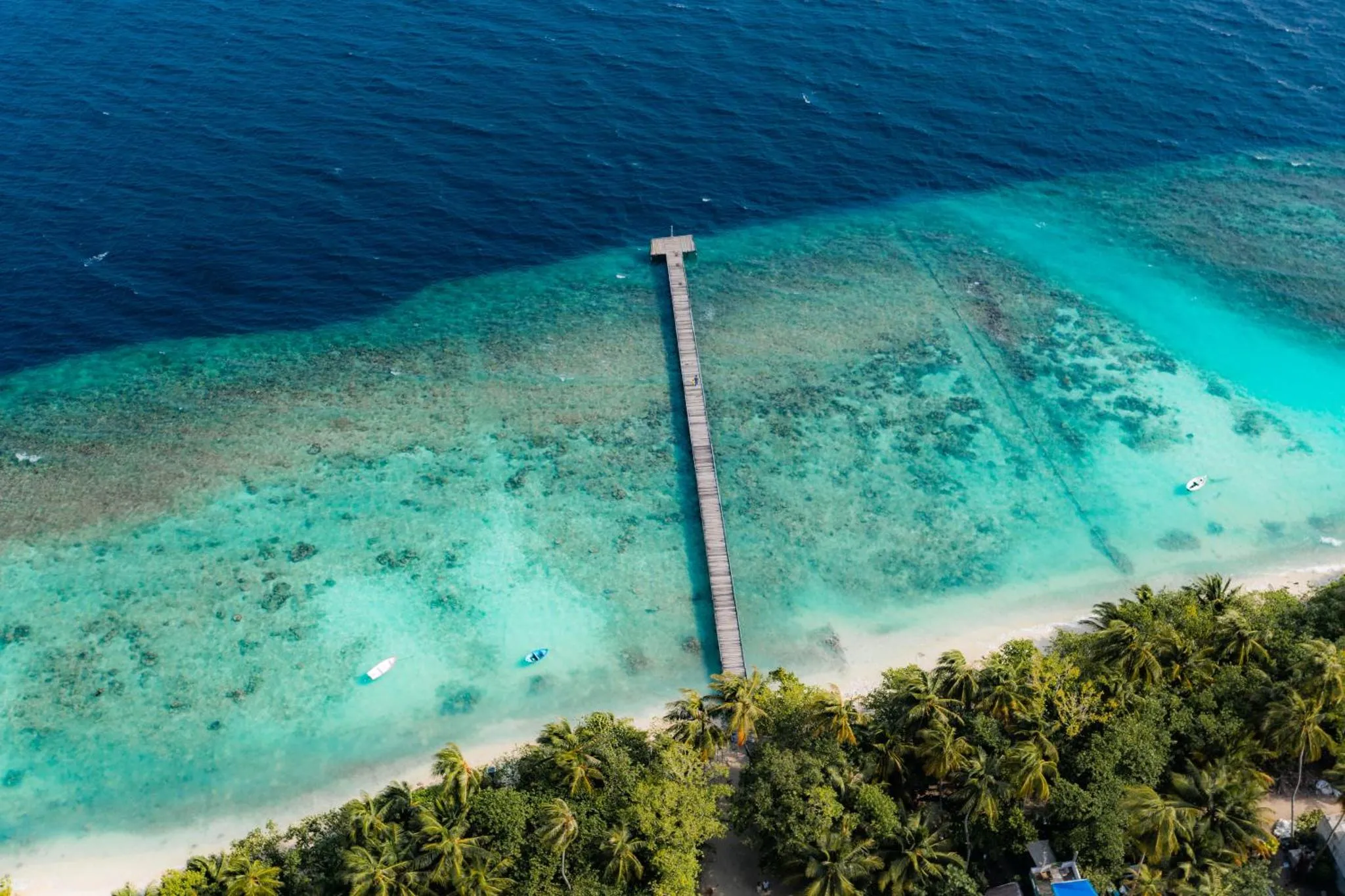 Vue aérienne d'un ponton en bois s'étendant sur un lagon turquoise bordé de palmiers.