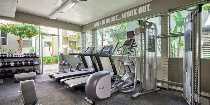 Une salle de sport lumineuse avec des équipements de musculation et des tapis de course.
