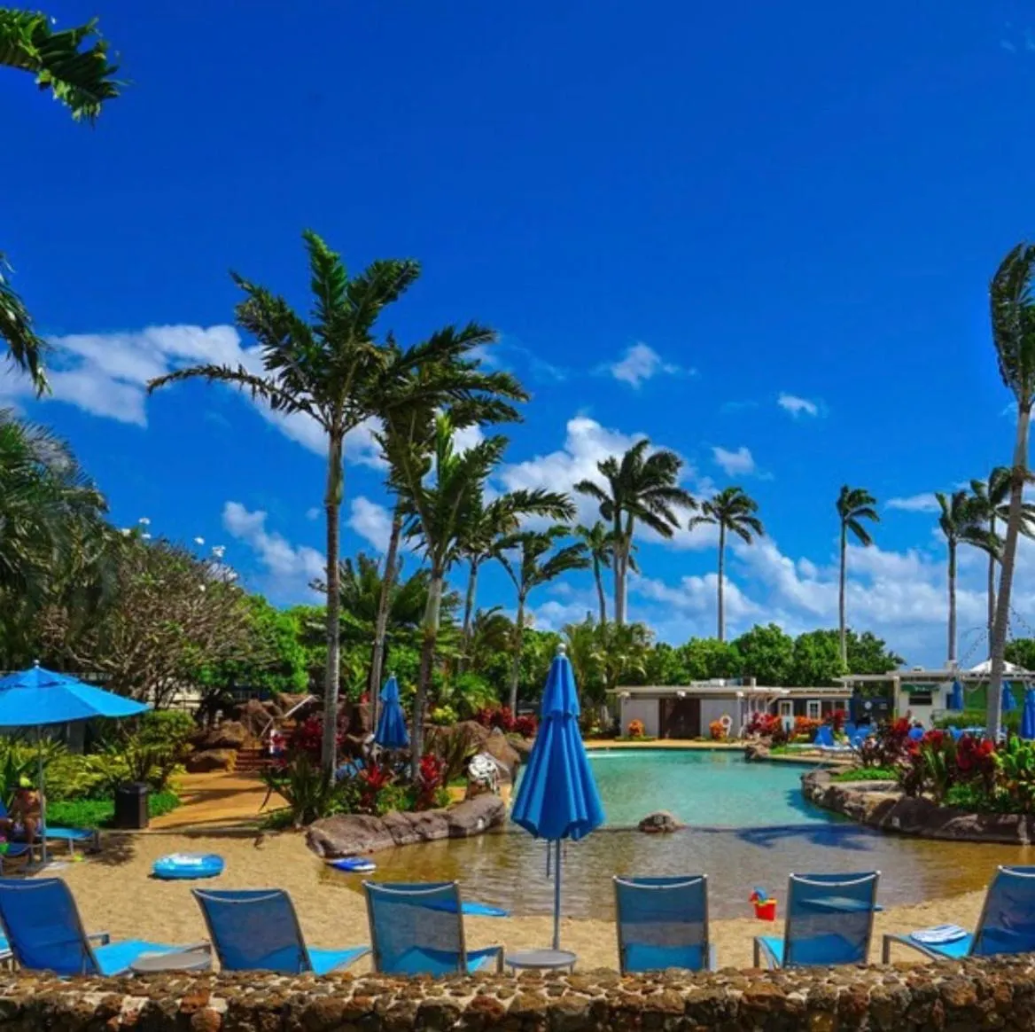 Transats bleus alignés au bord d'une piscine turquoise entourée de végétation tropicale sous un ciel bleu nuageux.