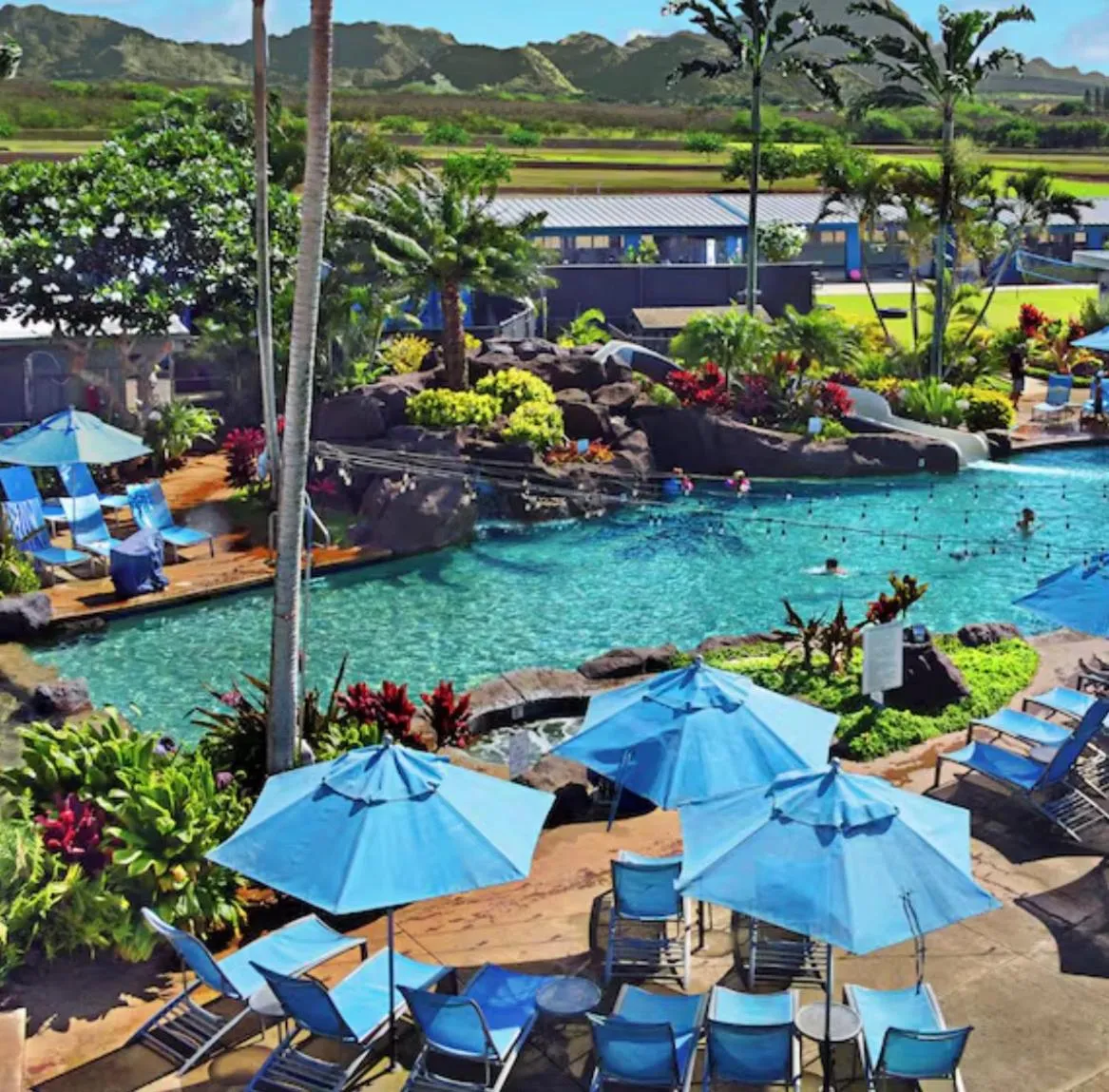 Une piscine bordée de végétation luxuriante et de transats bleus sous des parasols.