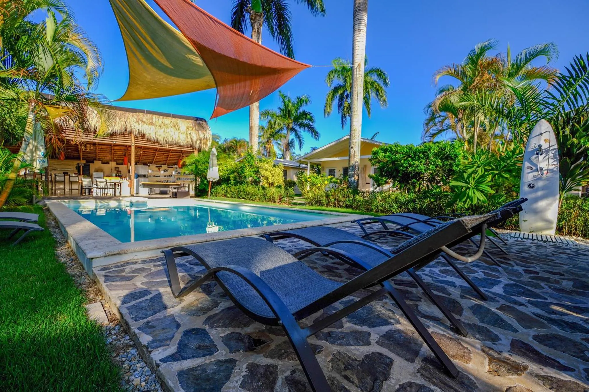 Transats et parasols disposés autour d'une piscine ensoleillée, dans un jardin tropical.