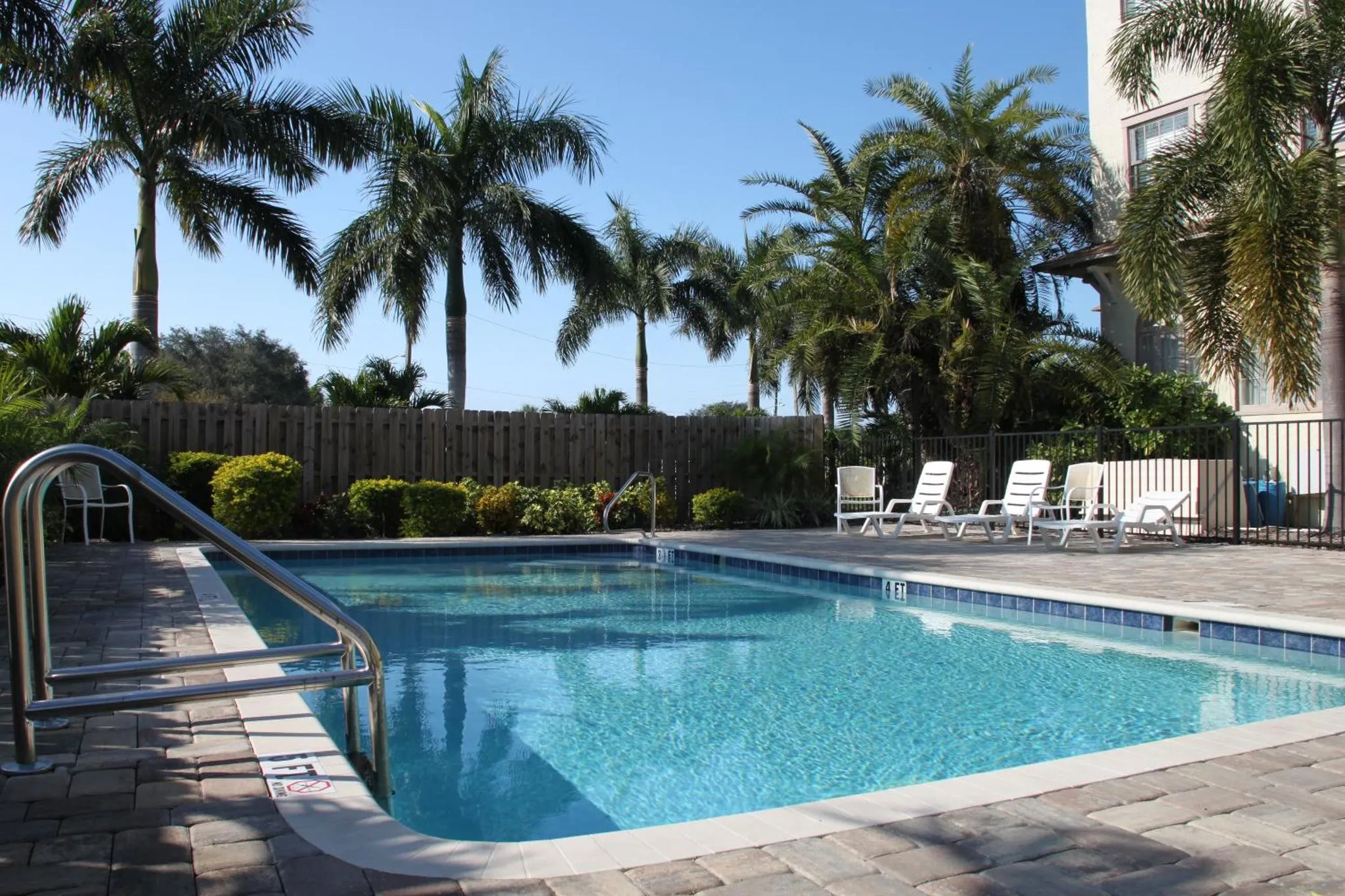 Une piscine rectangulaire entourée d'une terrasse pavée et de végétation tropicale.