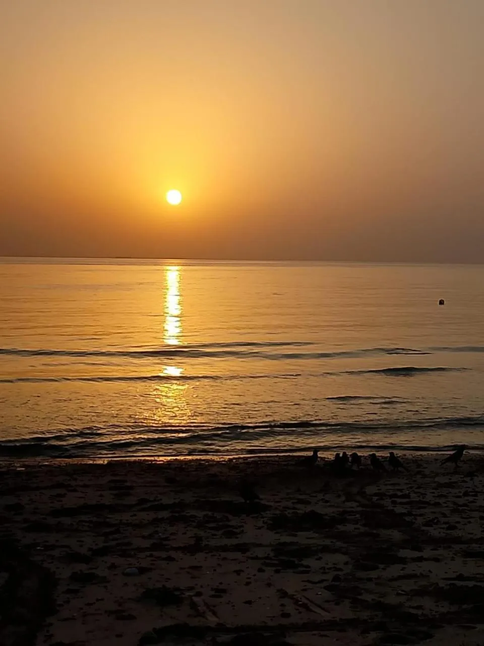 Coucher de soleil sur une plage avec une mer calme.