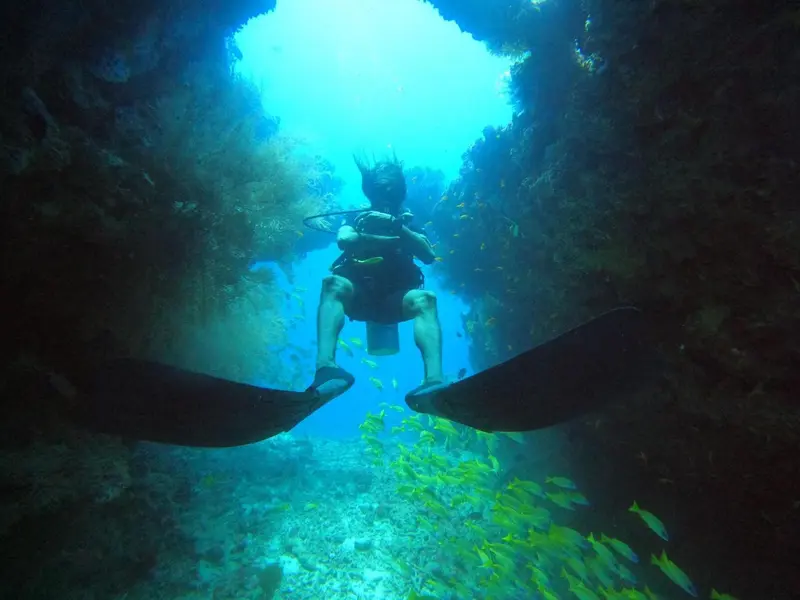 Un plongeur explore une grotte sous-marine illuminée par la lumière du soleil.