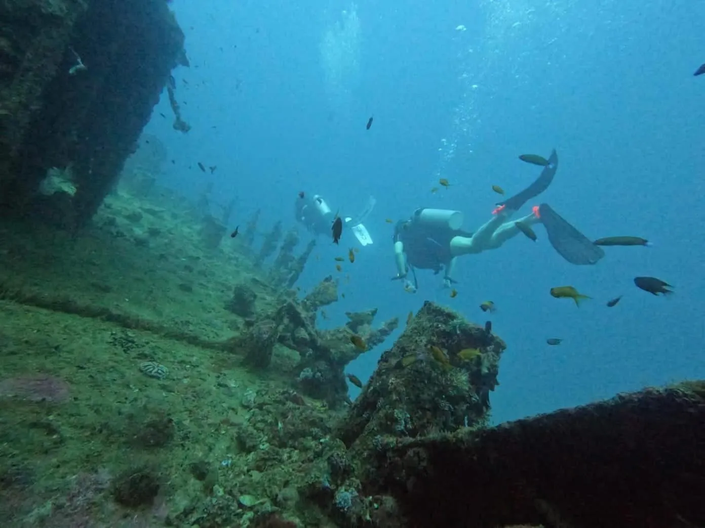 Deux plongeurs explorent un récif corallien sous la surface de l'eau.