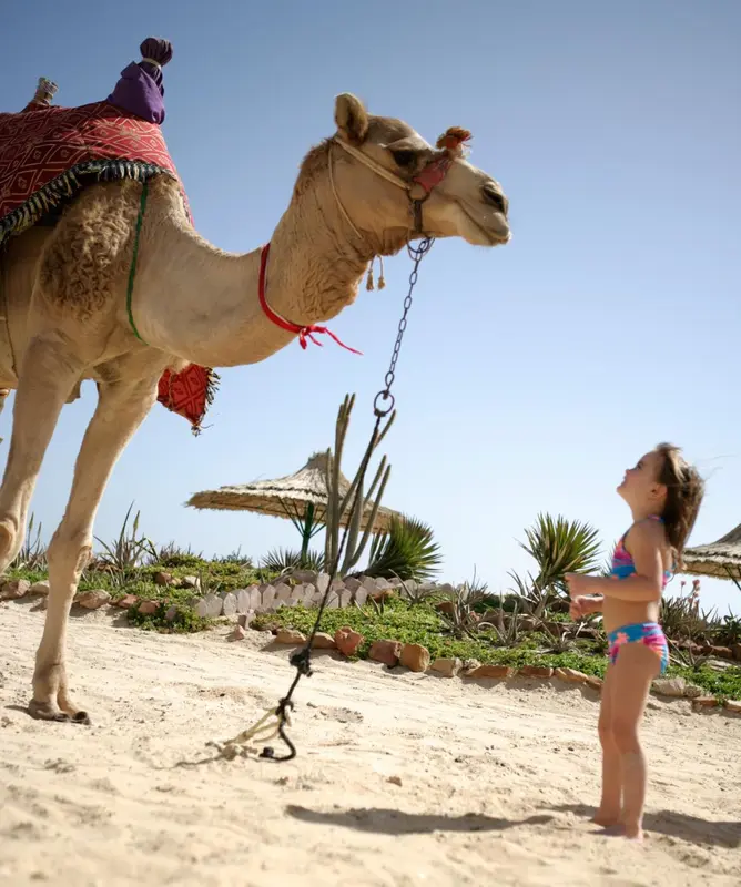 Une jeune fille se tient devant un chameau sur une plage de sable.
