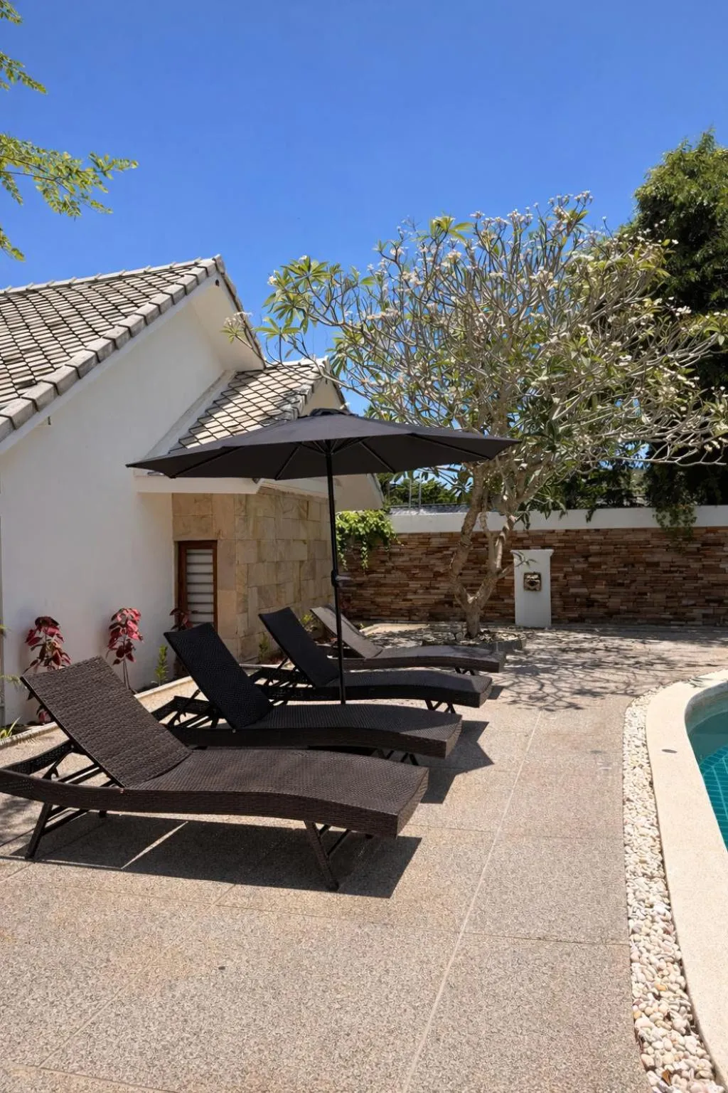 Transats et parasol ombragent une terrasse ensoleillée près d'une piscine.