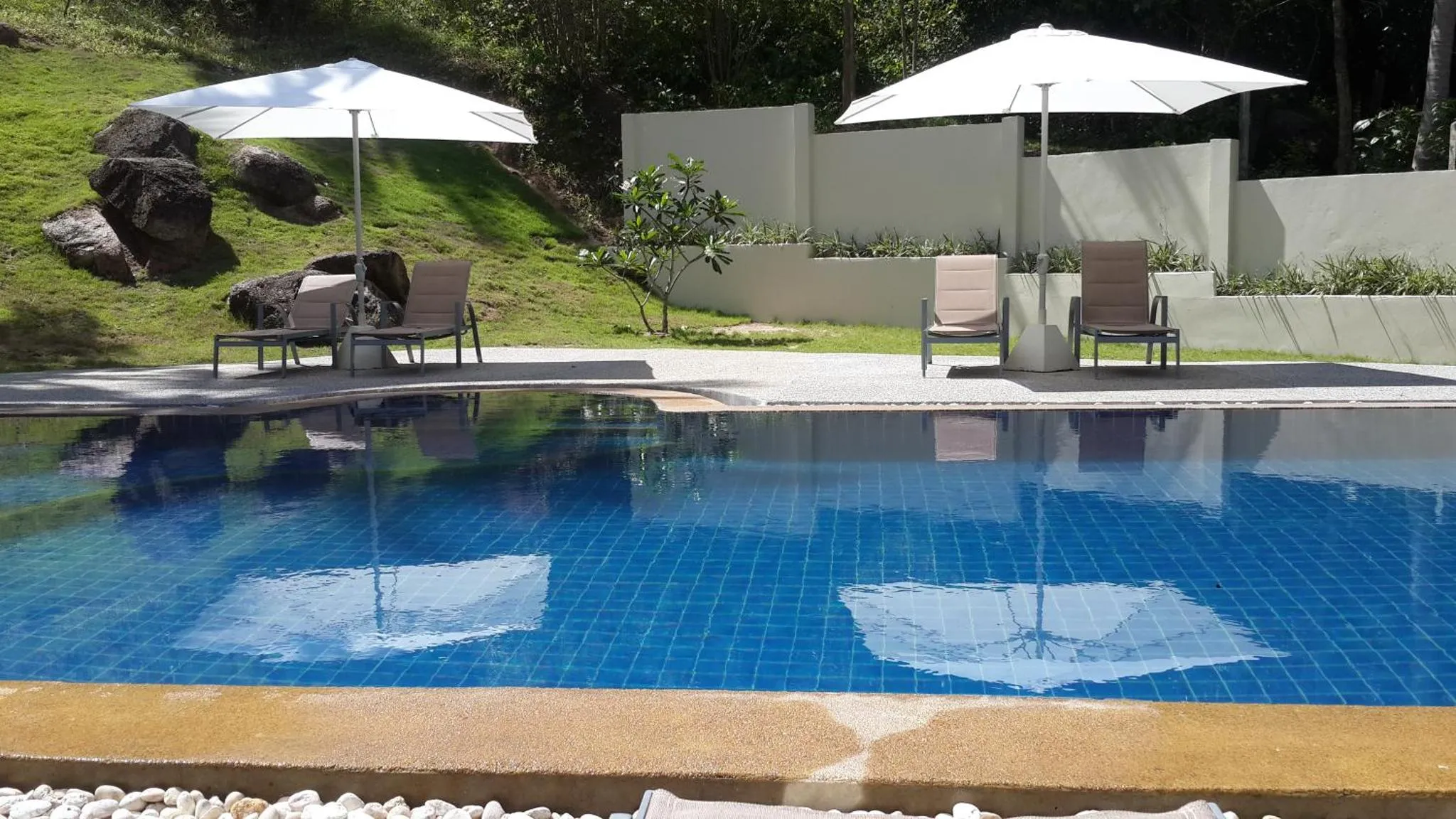 Transats et parasols bordent une piscine turquoise sur une pelouse verdoyante.