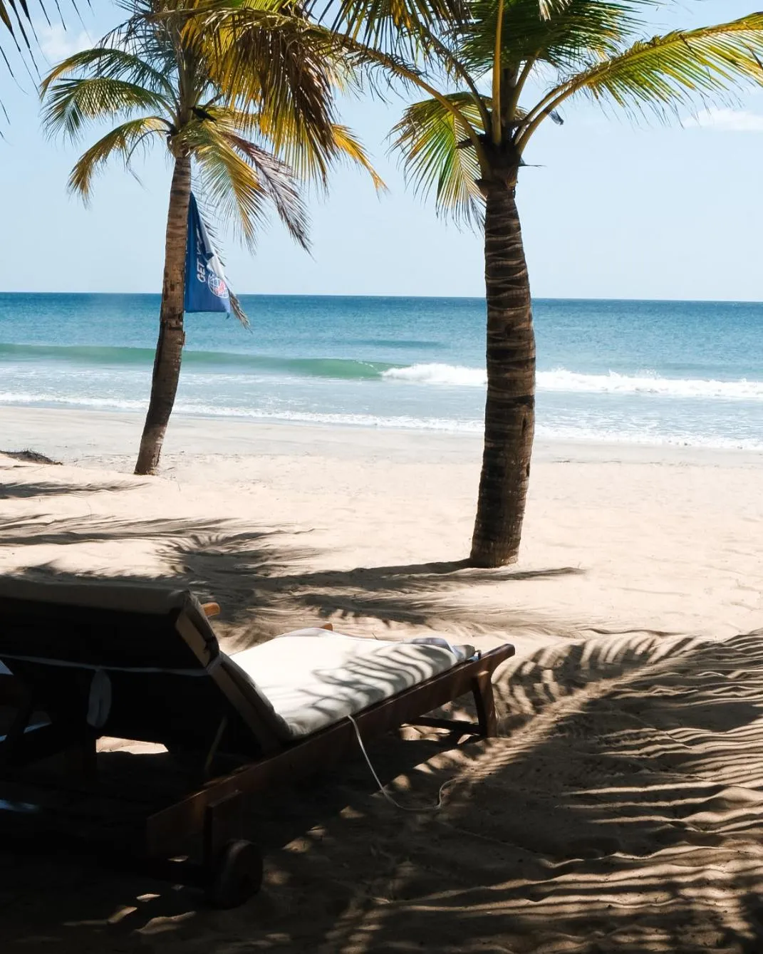 Transats sur une plage de sable fin bordée de palmiers.