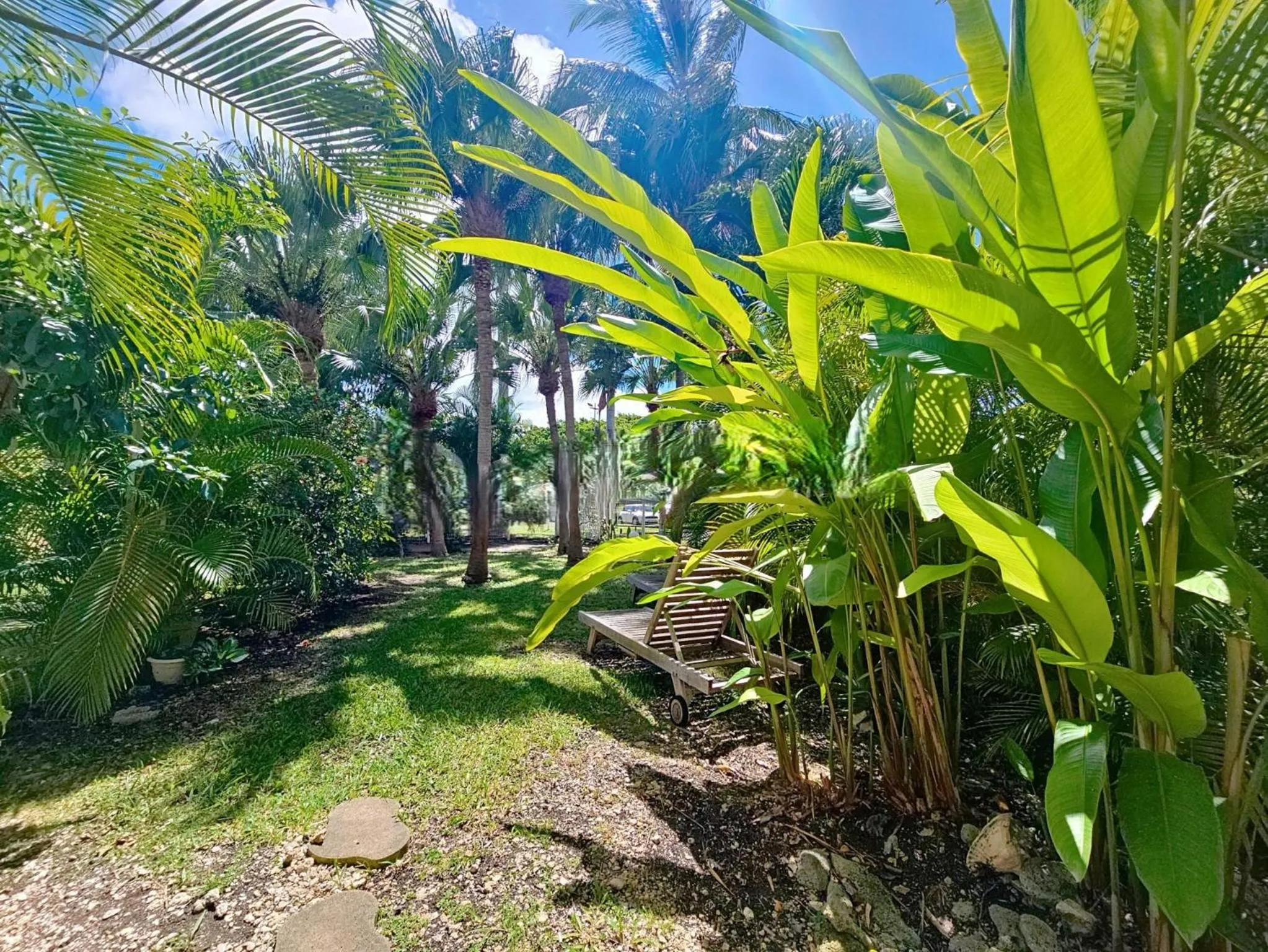 Un jardin tropical verdoyant avec des transats en bois.