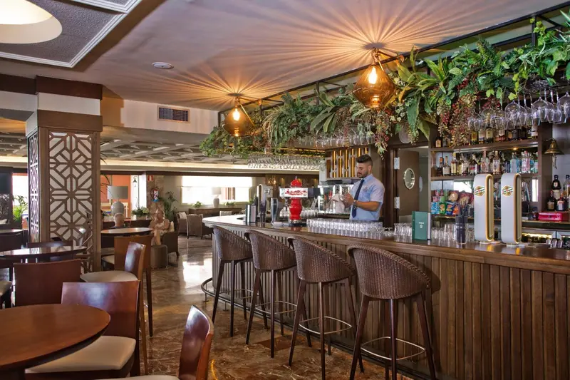 Un bar avec un comptoir en bois et des tabourets, décoré de plantes et de verres.