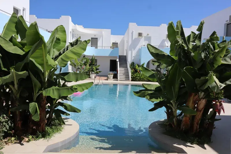 Une piscine rectangulaire entourée de végétation luxuriante et de bâtiments blancs.
