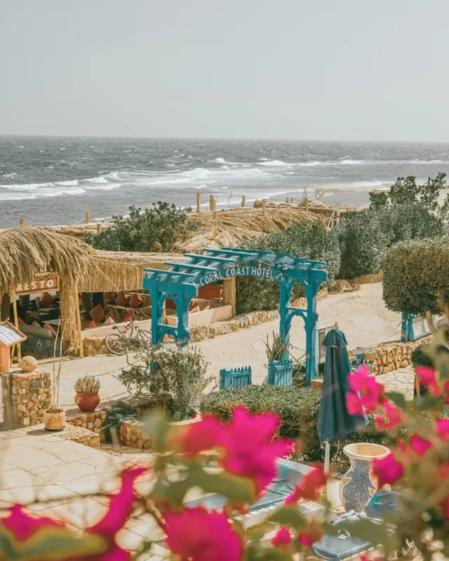 Une allée mène vers une plage bordée de végétation et de parasols.