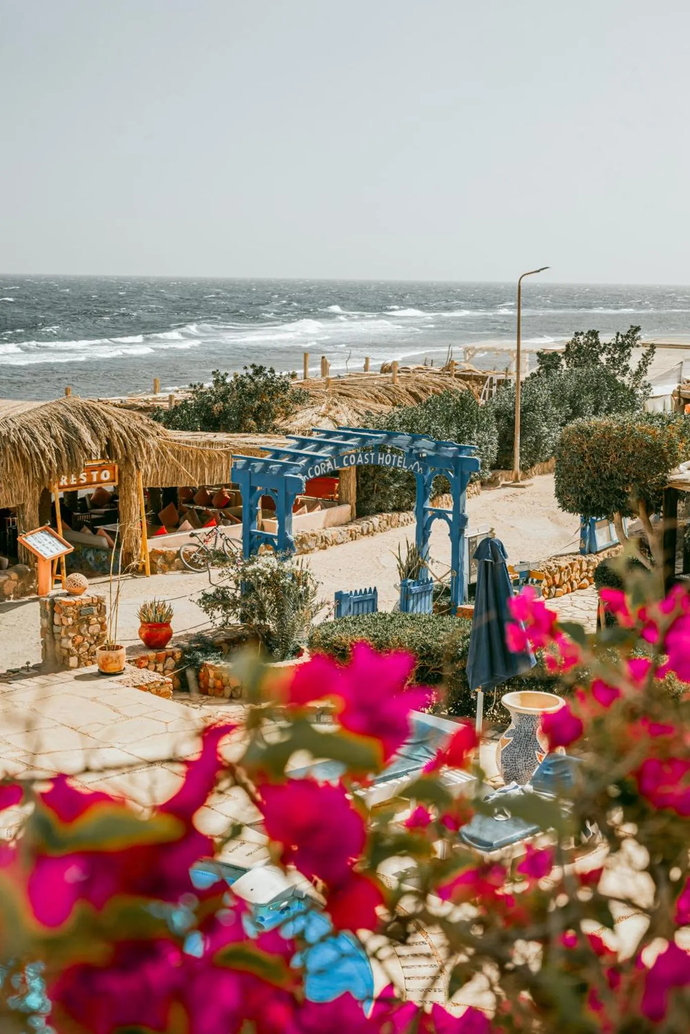 Terrasse ombragée donnant sur la mer, avec mobilier d'extérieur et végétation fleurie.