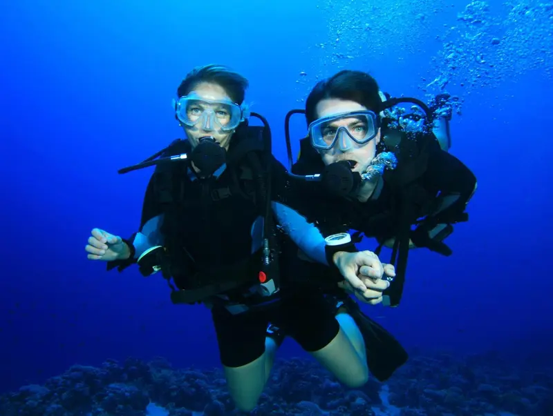 Deux plongeurs explorent les fonds marins.