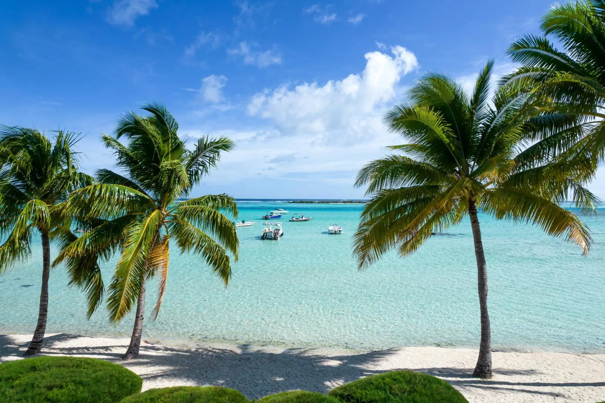 Plage de sable blanc bordée de palmiers et vue sur une mer turquoise avec des bateaux à l'horizon.
