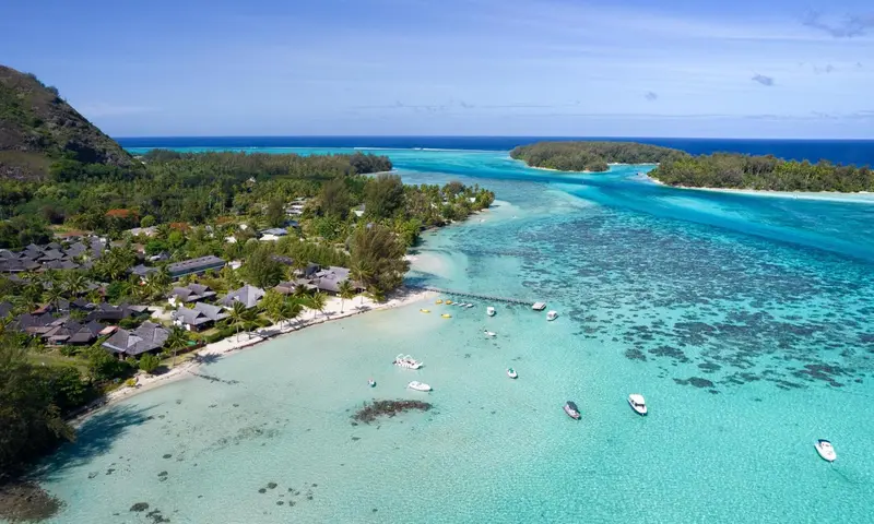Vue aérienne d'une côte bordée de bâtiments et de végétation luxuriante.