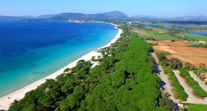 Vue aérienne d'une longue plage bordée de pins et d'une côte rocheuse.
