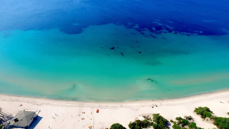 Vue aérienne d'une plage de sable blanc bordée d'une eau turquoise et d'une végétation luxuriante.