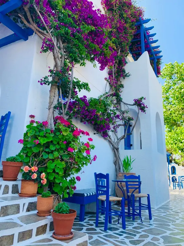Une façade blanche ornée de bougainvillées roses et violettes, avec une petite table et des chaises bleues.