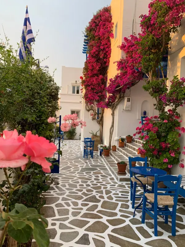 Allée pavée bordée de végétation et de quelques chaises bleues.