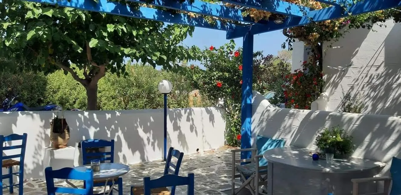 Terrasse ombragée avec tables et chaises bleues dans un jardin fleuri.