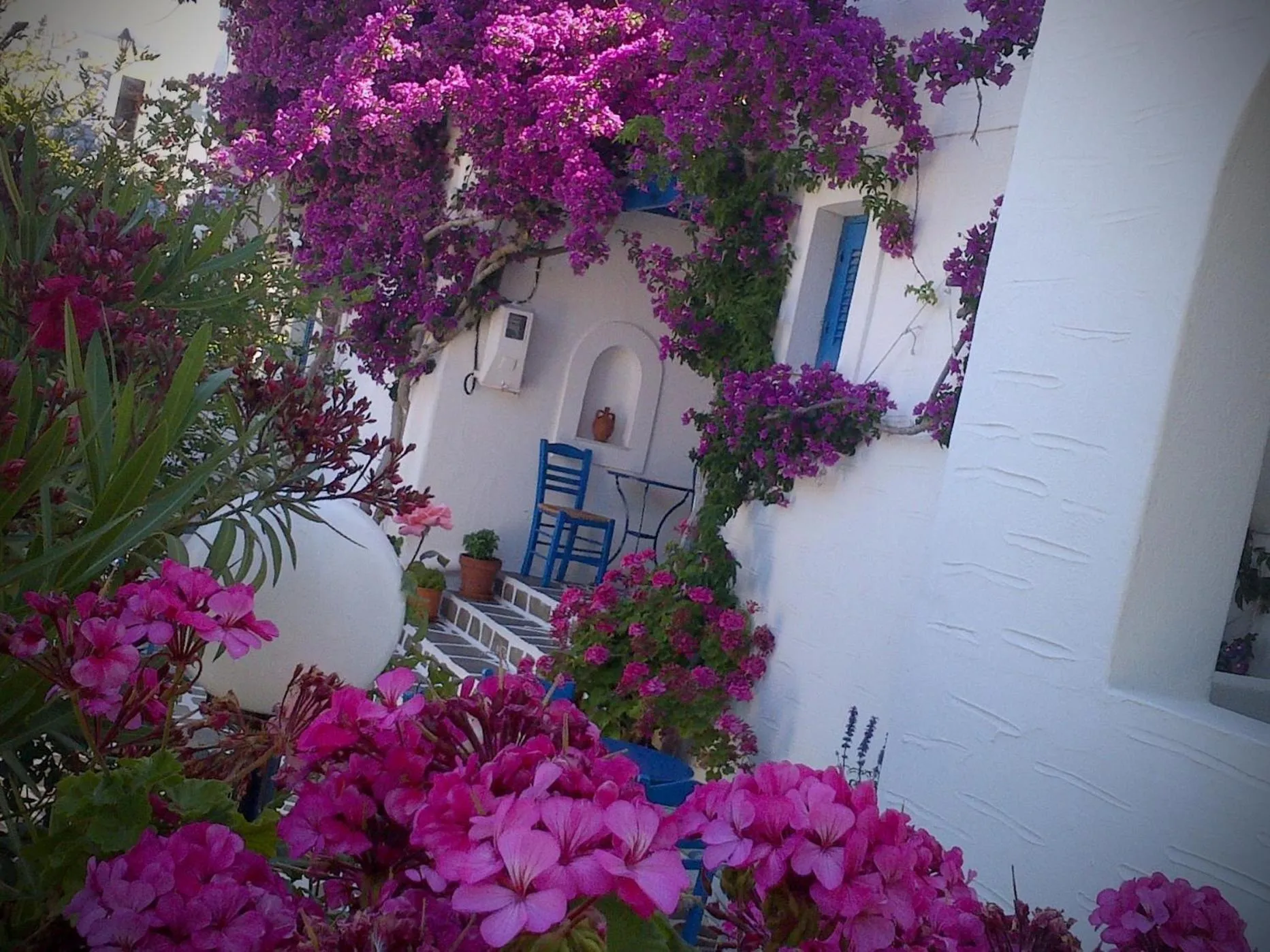 Une terrasse fleurie avec une chaise bleue et des pots de fleurs.