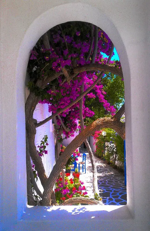 Une arche blanche encadre une vue sur un jardin fleuri et une allée pavée.