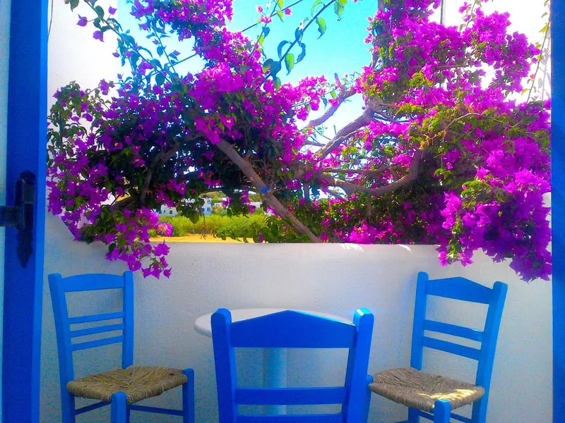 Deux chaises bleues et une petite table ronde se trouvent devant un mur blanc orné de bougainvillées roses.