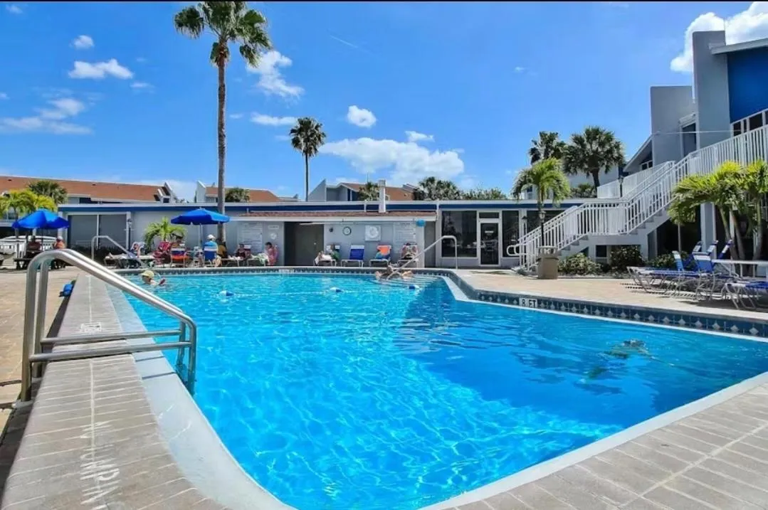 Une piscine rectangulaire avec des transats et des palmiers en arrière-plan.