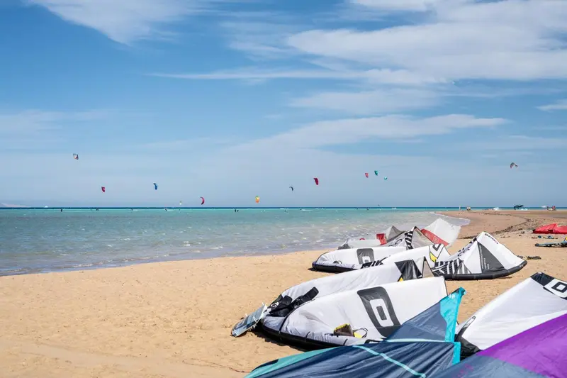 Voiles de kitesurf alignées sur une plage de sable fin face à une mer turquoise.