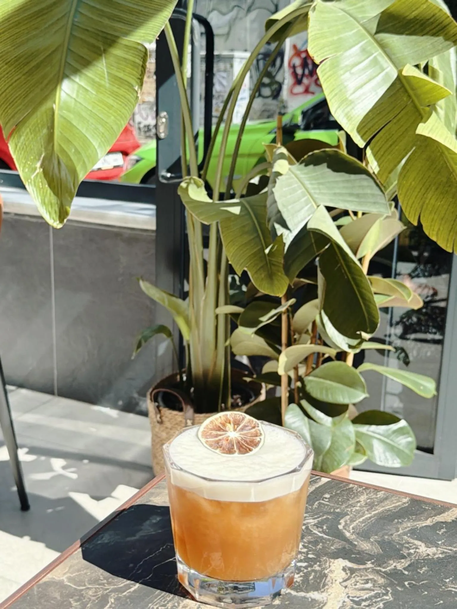 Un cocktail est servi sur une table devant une plante tropicale.