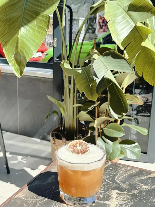 Un cocktail est servi sur une table devant une plante tropicale.