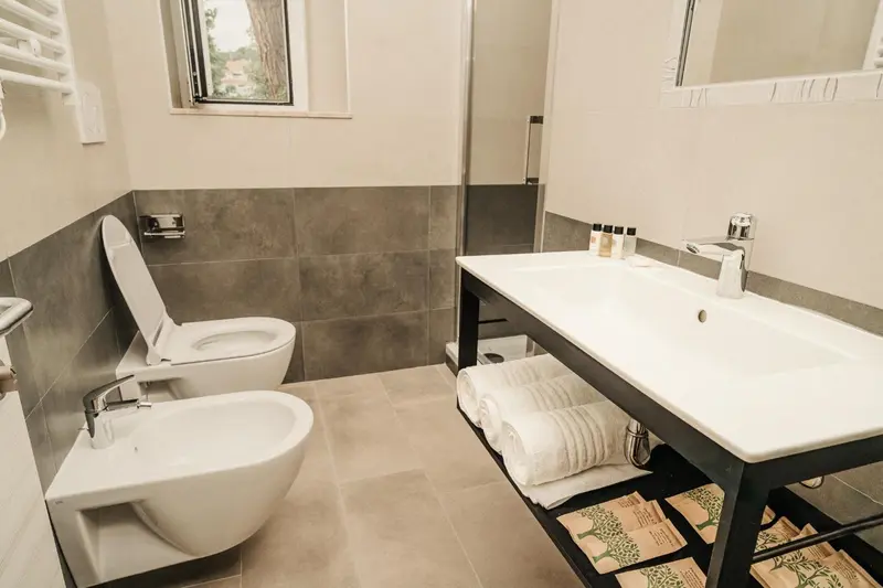 Une salle de bain moderne avec douche à l'italienne et bidet.