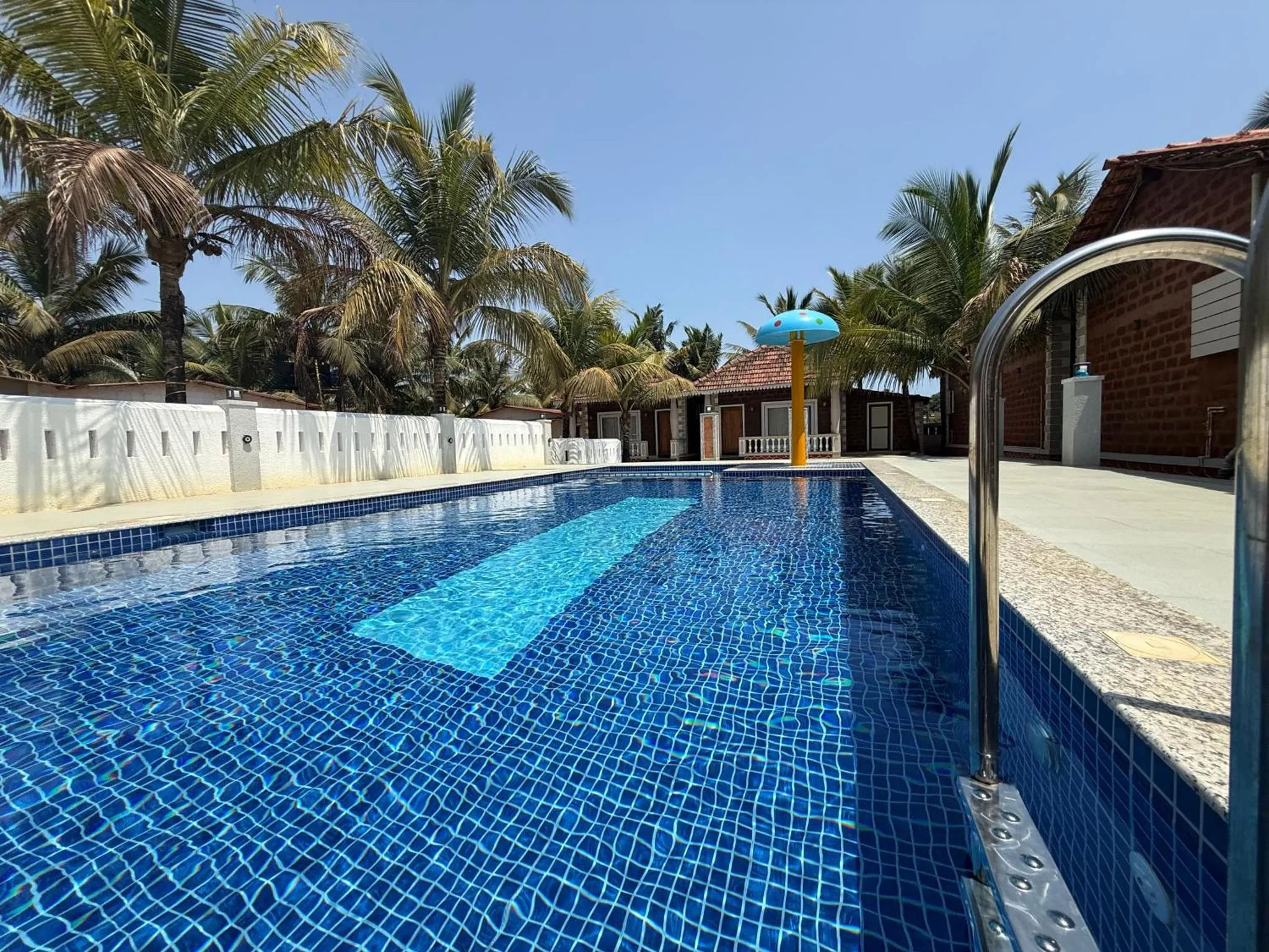 Une piscine rectangulaire bleue avec des transats et des palmiers en arrière-plan.