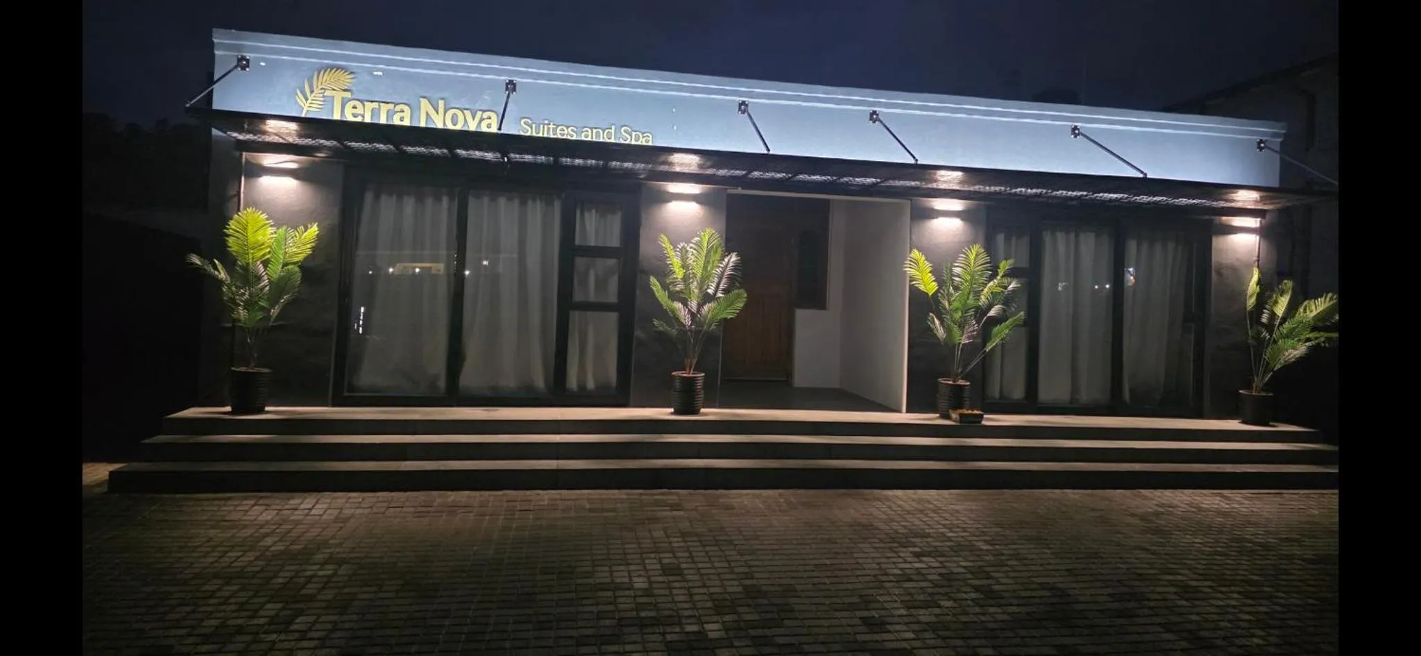 Façade d'un bâtiment éclairée la nuit avec des plantes en pots.