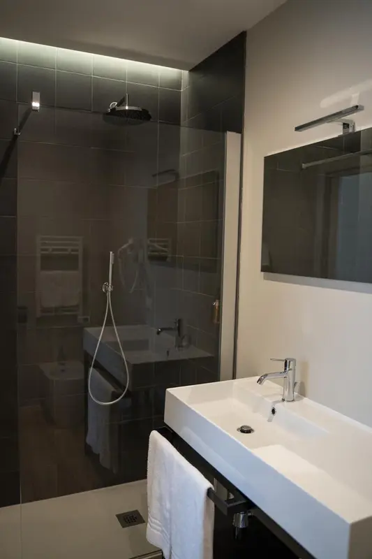 Une salle de bain moderne avec douche à l'italienne et vasque blanche.