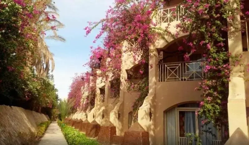 Facade d'un bâtiment orné de fleurs roses et de végétation luxuriante.