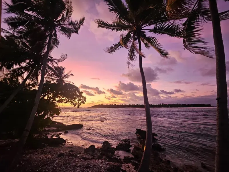 Coucher de soleil sur une plage bordée de palmiers.