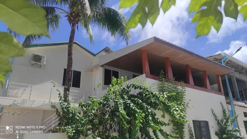 VelaaOlhu - Turtle Hive Thulusdhoo