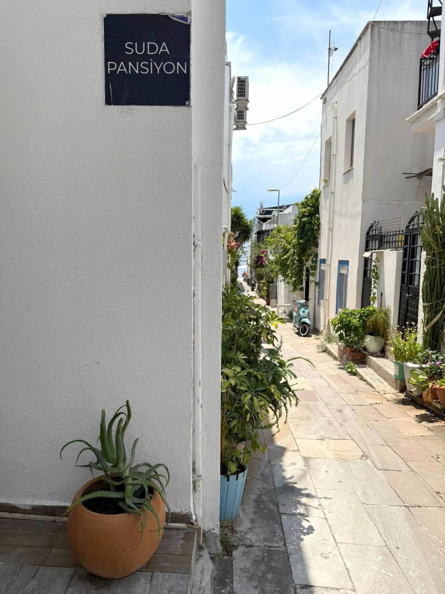 Ruelles étroites d'un village blanc avec végétation en pot.