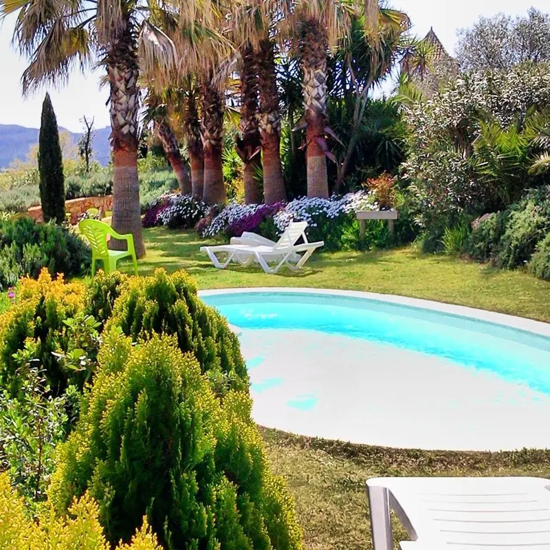 Transats et végétation luxuriante autour d'une piscine extérieure.
